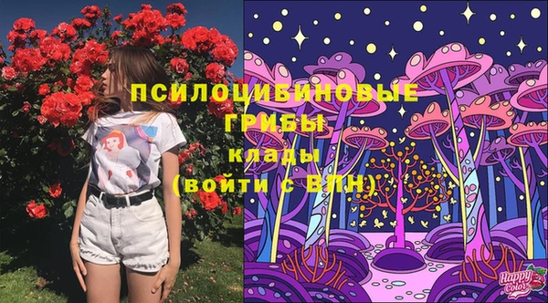 мескалин Бородино