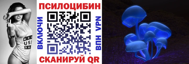 Купить  Волосово  Псилоцибиновые грибы Psilocybe 